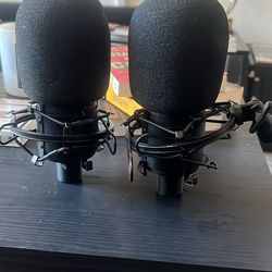 Audio-Technica Mic