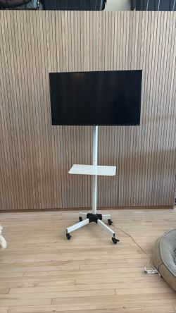 Great tv with rolling stand and trey for computer etc