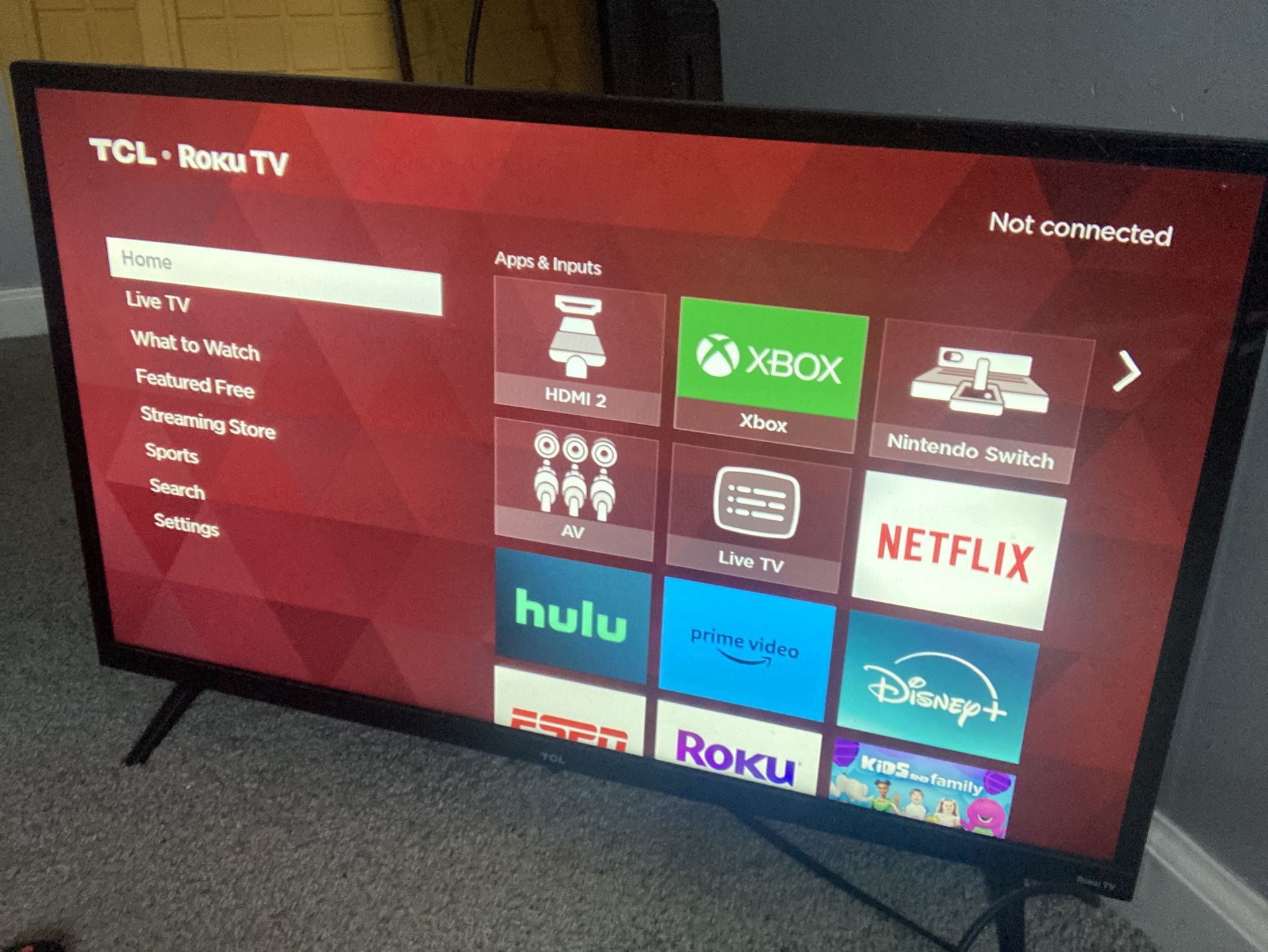 24inch Roku Tv With Remote