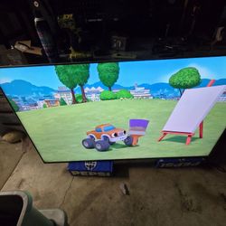 65 Inch Sony Bravia Tv