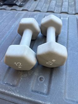 12 lb dumbbells x2