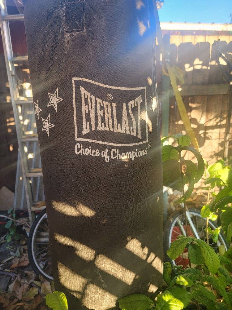 Punching Bag