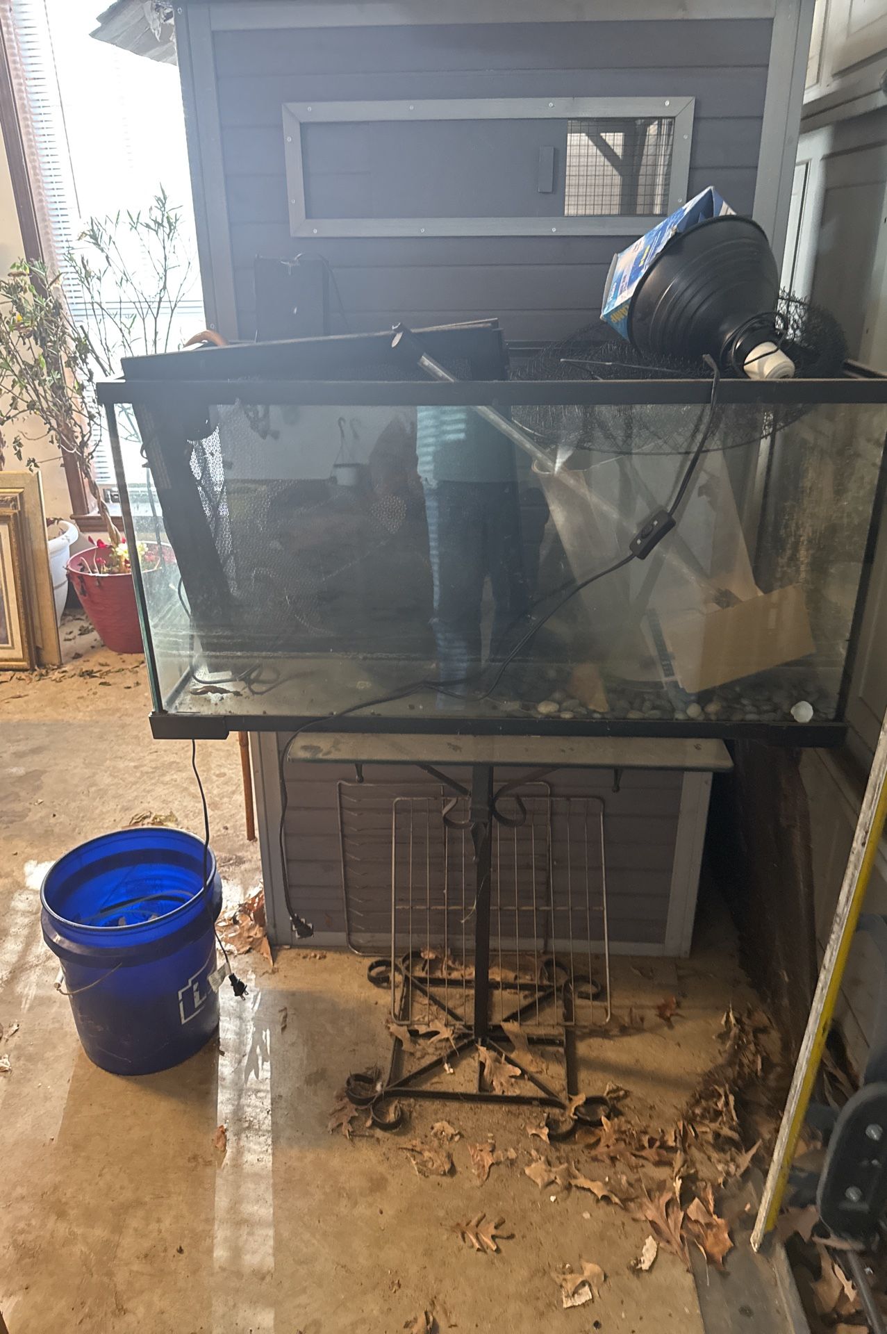 Reptile Aquarium With Heat Lamps heat Rocks