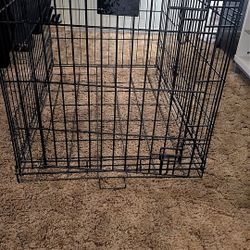 Cage Comes With Tray