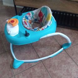 Baby Walker