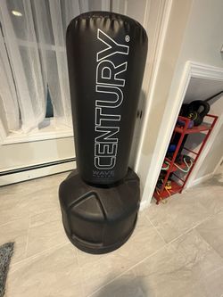 Century Wavemaster Kicking/Punching Bag