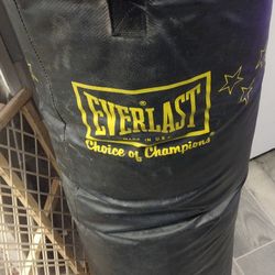 Everlast Punching Bag 
