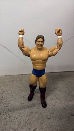 Wwe 2003 jakks pacific rowdy piper