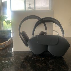 AirPods Pro Max 