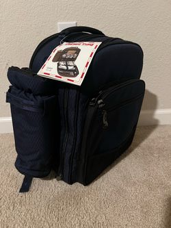 Backpack picnic for 4
