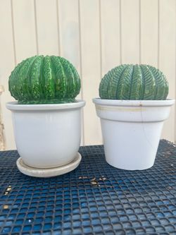 Set of 2 ceramic outdoor barrel cacti in white plastic planter pot pretend cactus