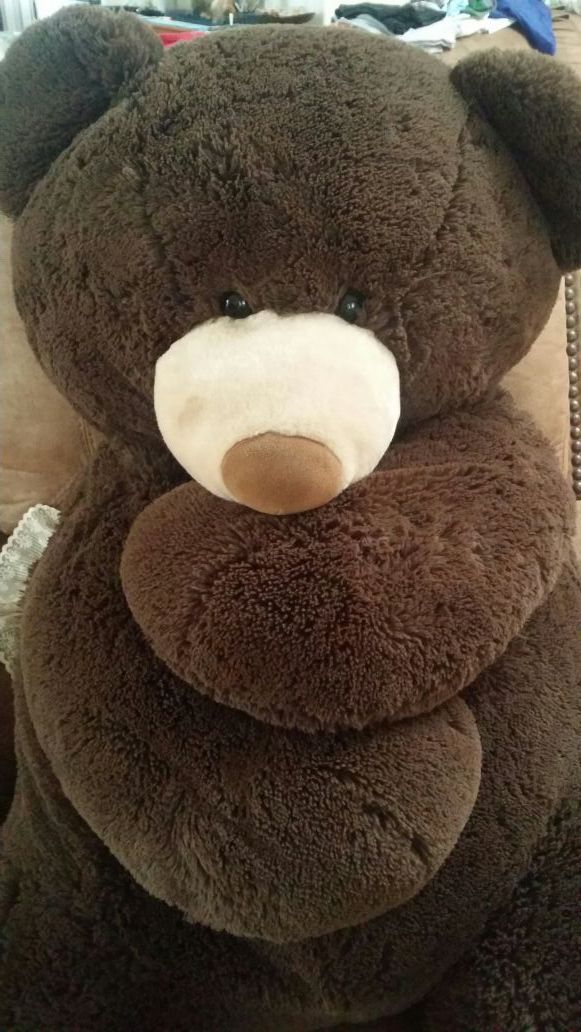 Giant Adorable Brown Teddy Bear