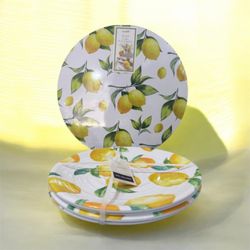 Brand New Matching Lemon Cork Placemats (Set of 4) + Outdoor Plates (Set of 4) – or Best Offer!