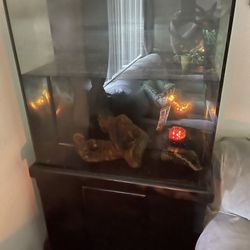 Fish Tank  20 Gallons 