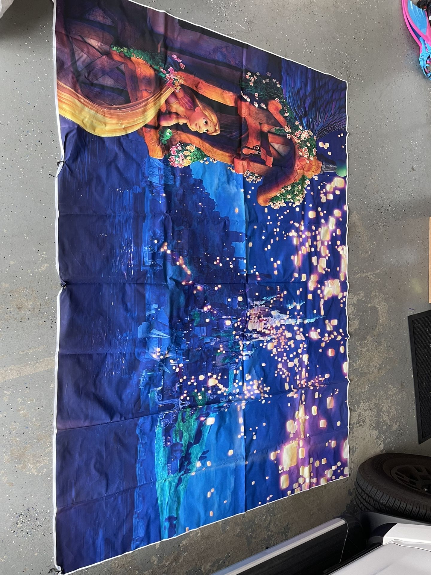 Rapunzel Back Drop 5x7