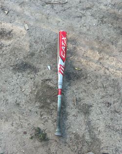 Baseball bat cat x