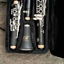 Brand New Clarinet, Has Never Been Played 