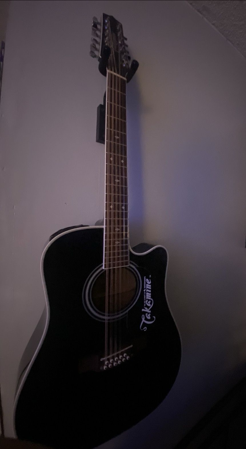 Takamine Legacy 12 String