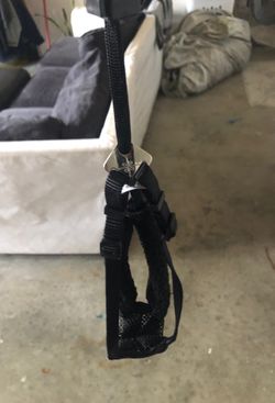 Harness for small dog