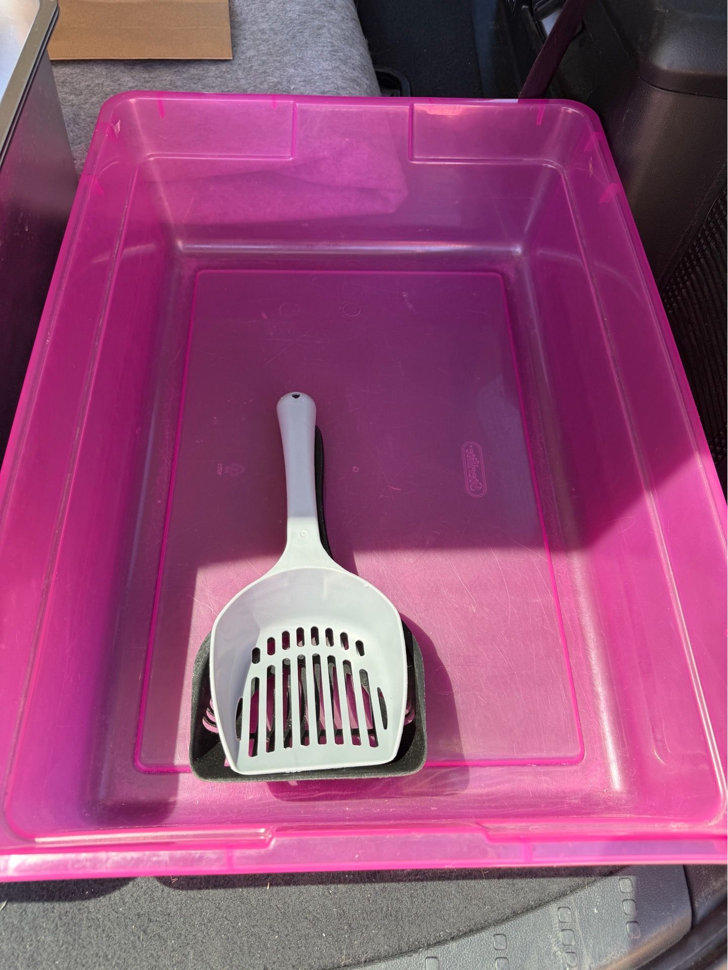 Pink Cat litter with scooper