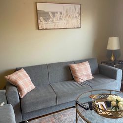 2 PC Sofa Set