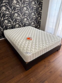 West Elm queen bed frame and new mattress