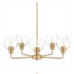 5 Light Chandelier Hampton Bay