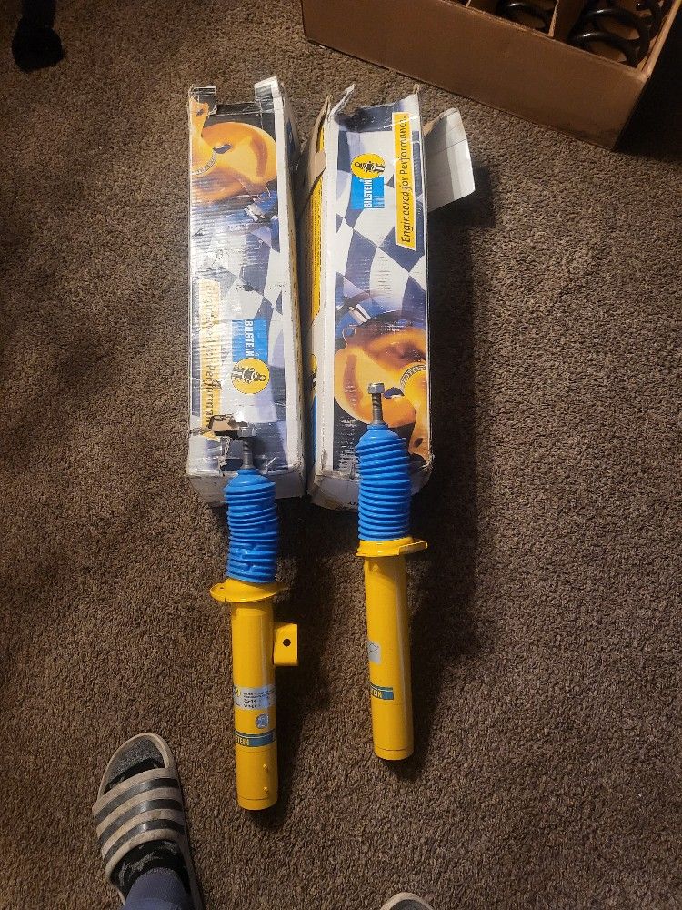 Blistine Shocks