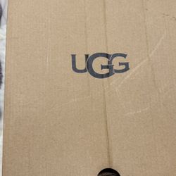 Uggs 