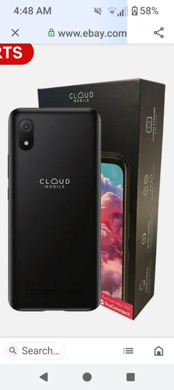 Government phone
