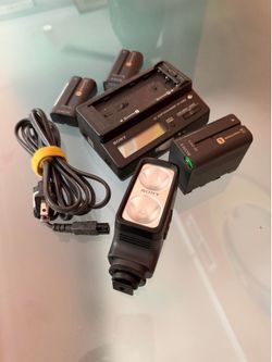 Sony camera, light, charger, and batteries