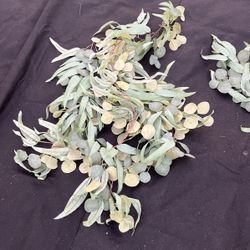 Artificial Eucalyptus Vine 2 1/2 Feet -3 Pieces 