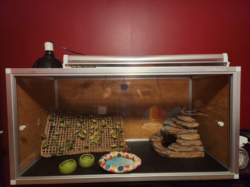 Zen Habitat Wood Enclosure 4x2x2:bearded Dagon Tank