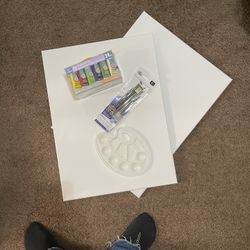 Paint Set w/ 2 Canvas