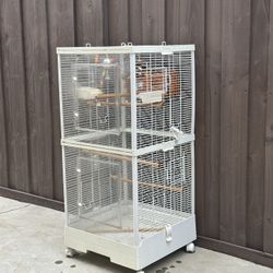 Bird Cage 