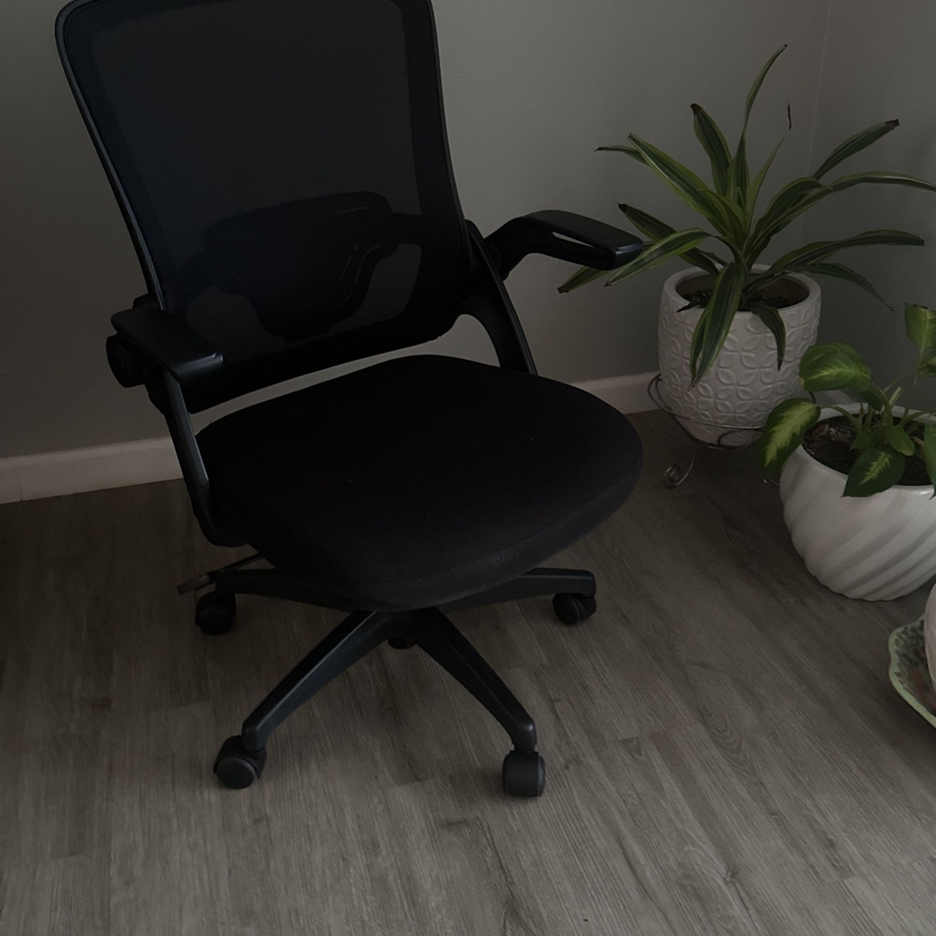 Chair✅very Good Conditions 👌