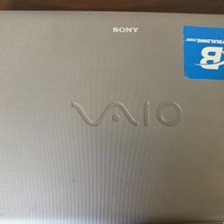 Sony Vaio Computer