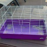 Guinea Pig Cage & Rabbit Cage 
