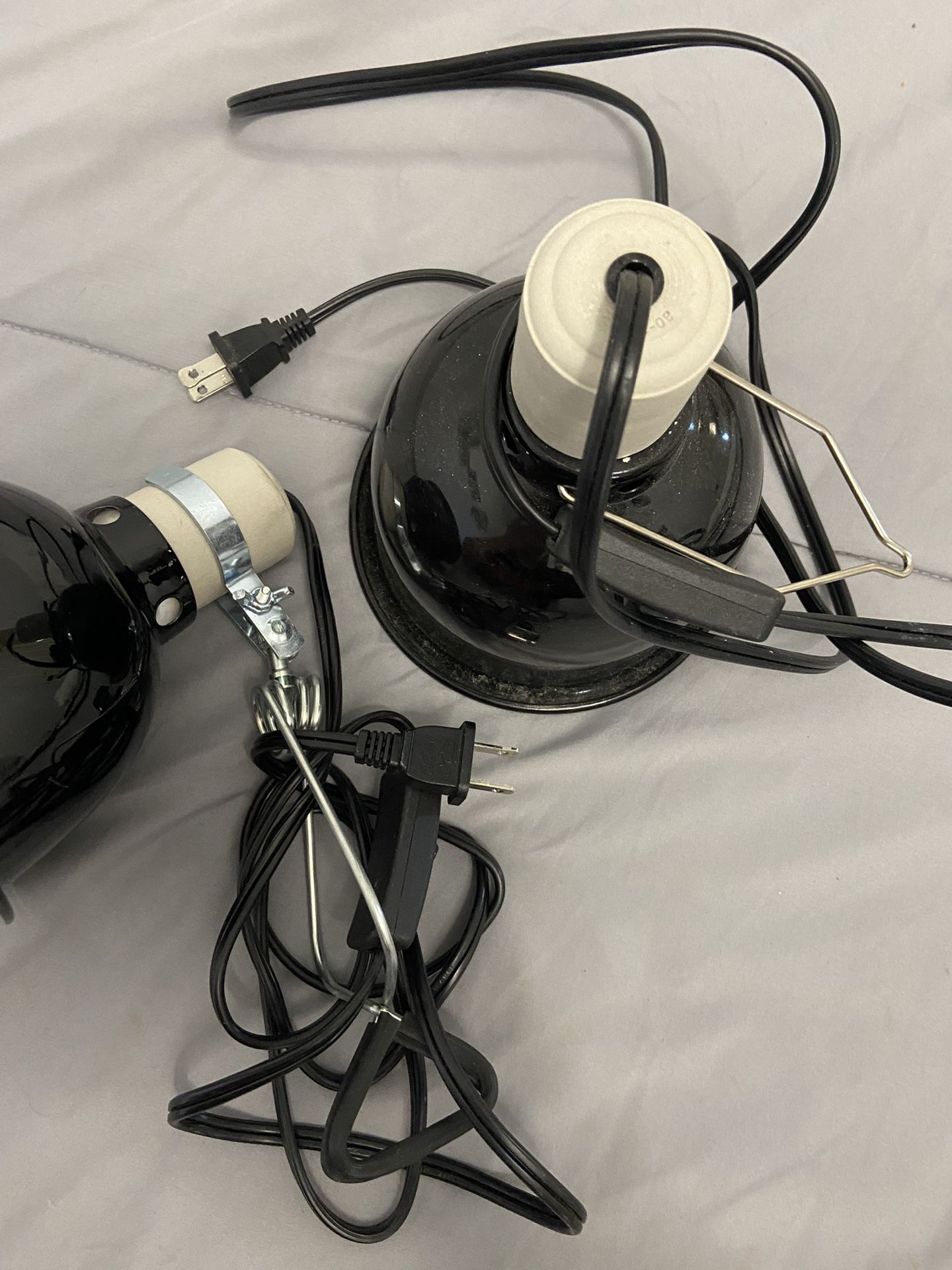 Fish & Reptile Light