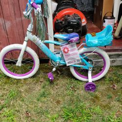 Girls Kids Bike With Asserories  Horn ,Doll Carrier...Brand New Never Riden.