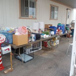 Moving Sale! 2701 E Allred Ave Lot 93 Mesa AZ 