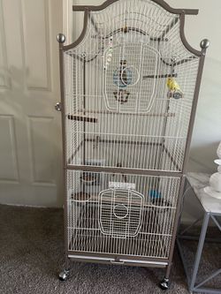 Canary cage and bird