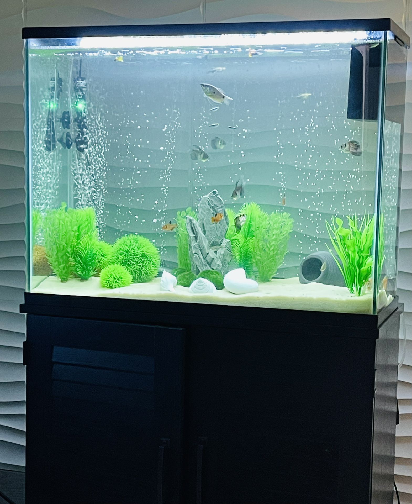 Fish Tank