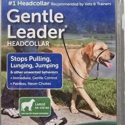 Dog Head Collar size Large