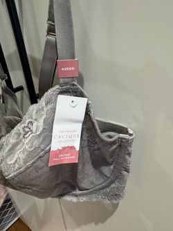 New Bras lane Bryant