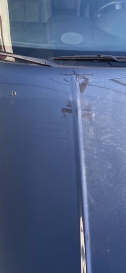Buffing/paint corrector!!