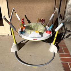 Skip Hop Activity Foldable Bouncer