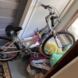 Nishiki Tamarack Mountain Bike