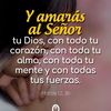 Radailsa