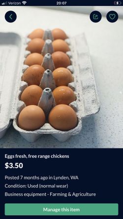 Eggs Dozen Free Range Chickens